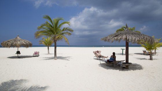 Mare, deserto, fiori. Aruba, l'eden dei contrasti