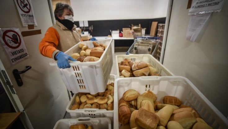 Rincari record per gli alimentari, in un anno aumento del 21%. Allarme grano: "Panetterie a rischio chiusura"