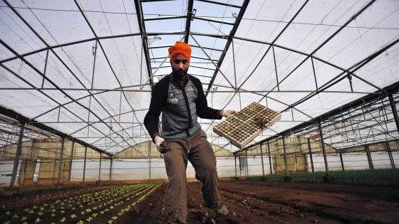 Reddito di cittadinanza agli italiani? "Impossibile escludere stranieri lungo-soggiornanti e rifugiati"