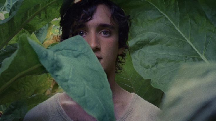 Alice Rohrwacher: “Lazzaro? E' più felice in America che in Italia” 
