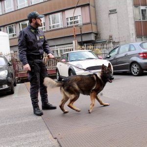 Firenze, zucchero scambiato per droga: per questo è stato ucciso il trafficante