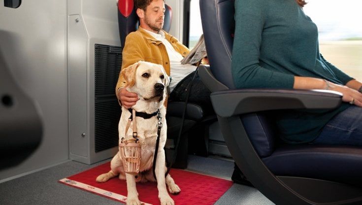 Per viaggiare con il proprio cane, Italo raddoppia i posti dedicati a bordo treno