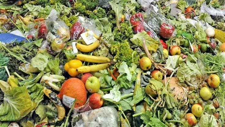Spreco alimentare, ogni settimana gettiamo mezzo chilo di cibo a testa