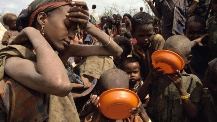 La sicurezza alimentare globale è minacciata, tra El Niño e le guerre in corso