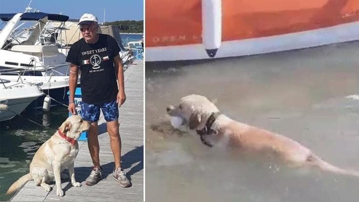 Nel Salento c’è Rocky, il cane che ama ripulire mare e spiagge dai rifiuti. “È la nostra mascotte”