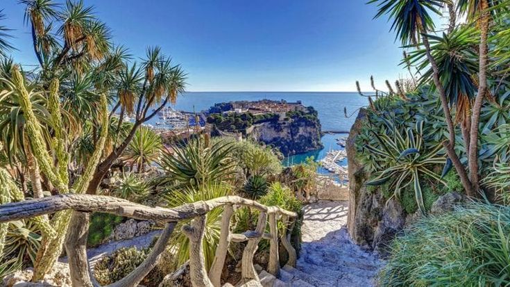 Monaco, il principato torna a brillare di verde. Riaperto il Giardino Esotico dopo sei anni
