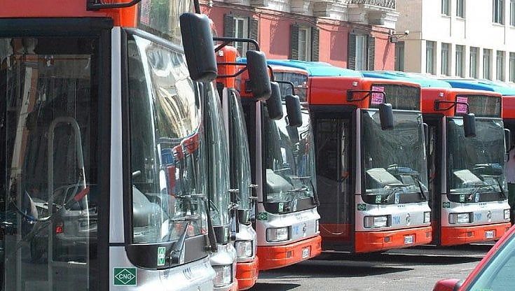 Bari, stop ai bus Amtab per le scuole: sono vuoti. Ma dal Salvemini protestano: "Qui è difficile arrivare"