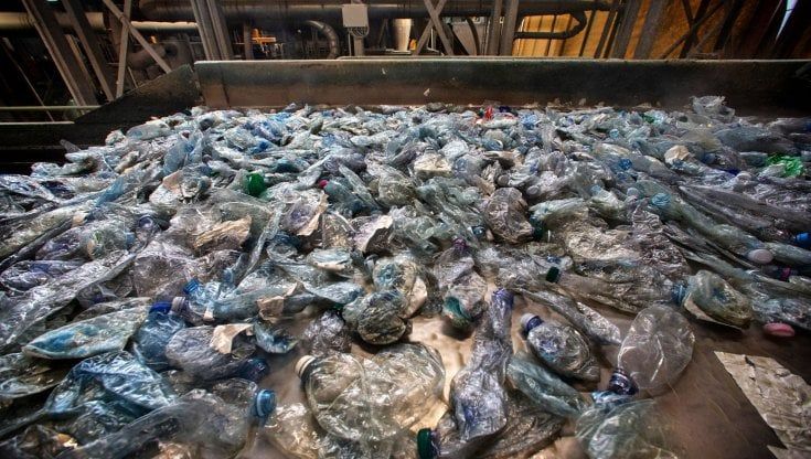 Dietrofront sui piatti e bicchieri di carta: non sono al 100 per cento biodegradabili, in arrivo il divieto