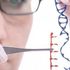 Usa, usata la tecnica Crispr per modificare il Dna di embrioni umani