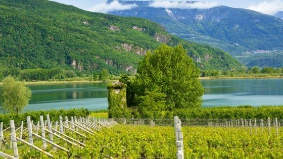 Montagne, vigneti e ristoranti: il lato bello (e buono) dell'Alto Adige
