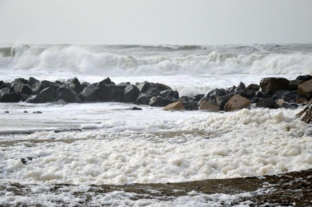 Ostia, strana schiuma bianca sulle spiagge. "Fenomeno naturale, nessun allarmismo"
