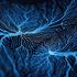 Epilessia resistente ai farmaci, un aiuto dal microbiota