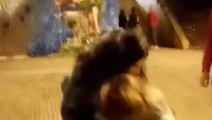 Dodicenne picchiata da un gruppo di coetanee nel Foggiano: qualcuno filma e diffonde il video. Il sindaco: "Smettetela, chi guarda e non interviene mi disgusta"