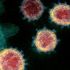 Coronavirus: 10 bufale smentite sul contagio