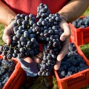 Gli agricoltori della Cia: è allarme acqua nei campi