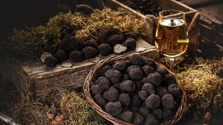 Etna bianco o Cerasuolo: bere bene col tartufo
