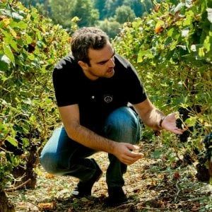 Crisi e sostenibilità, lo champagne tra presente e futuro