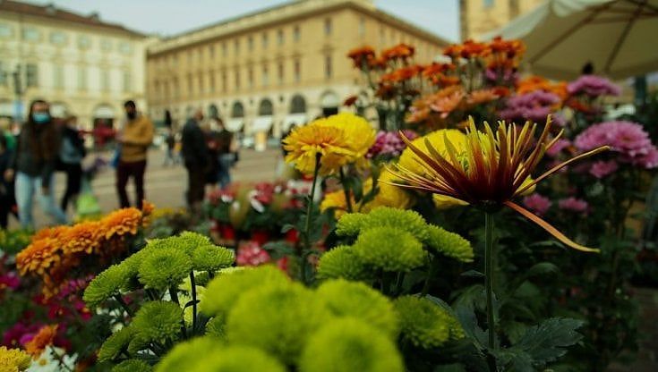 Forestopia, parte dal centro di Torino la rivoluzione del verde in città