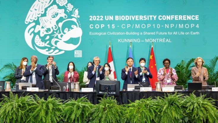 L'alleanza tra natura e clima
