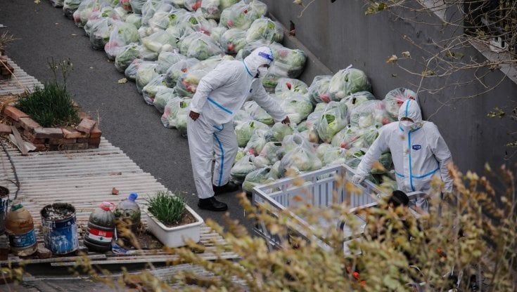 Strategia zero-Covid in Cina, prime ammissioni delle autorità sanitarie: "Applicazione troppo zelante"