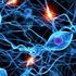 Così il cervello ci aiuta a scegliere