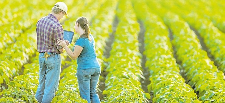 Laureati e digitali i giovani tornano alla terra