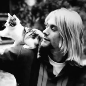 Da Alan Parker a Kurt Cobain, parte la festa del grande cinema
