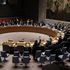 Siria, il Consiglio di sicurezza dell'Onu approva all'unanimità la tregua di Russia e Turchia