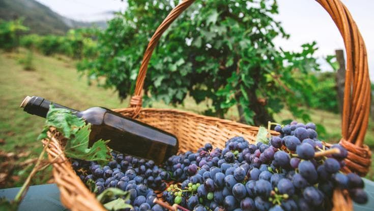 La nuova strategia del Brunello di Montalcino: ampliare i mercati già esistenti