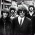 Byrds, la favola del 