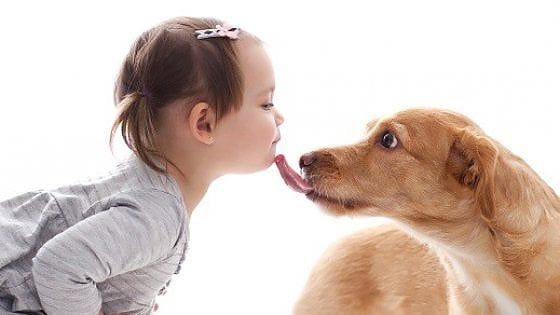 Farsi leccare dal cane è pericoloso? Più germi se si bacia il partner