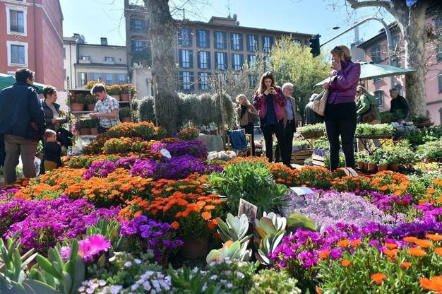 Milano, i colori di Floralia nel segno della solidarietà