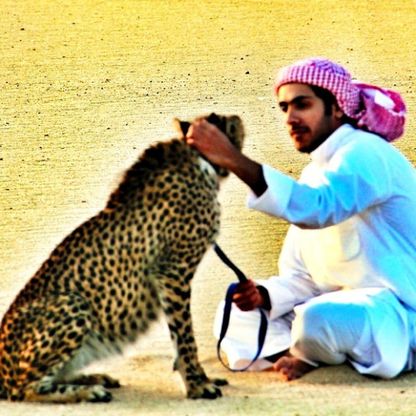 Ghepardi al collare: polemica sui selfie del cacciatore