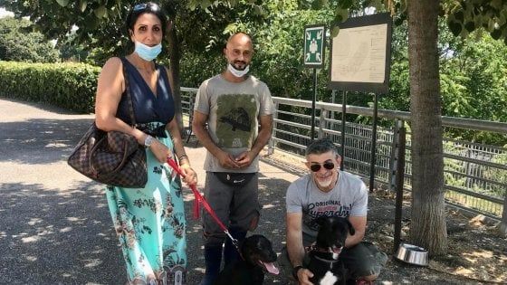 Roma, trova casa il cucciolo lanciato nel canile della Muratella