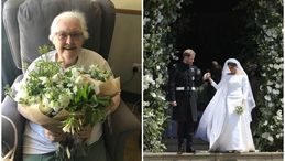 Gb, i fiori del royal wedding da Windsor all'ospizio per anziani