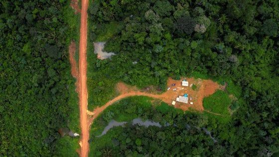 Brasile, lo scienziato silurato da Bolsonaro per i dati sulla deforestazione: "Non staremo zitti"