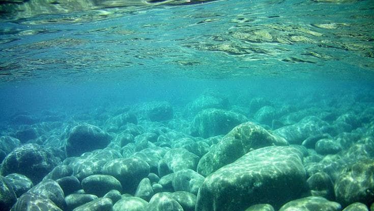 Il mare di Sicilia come l’acqua di una vasca da bagno. È troppo caldo. Ma chi si allarma davvero?