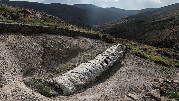 Grecia. Dalla foresta pietrificata di Lesbo affiora albero di 20 milioni di anni fa intatto. "Mai visto uno così, ci svelerà l'isola che fu"
