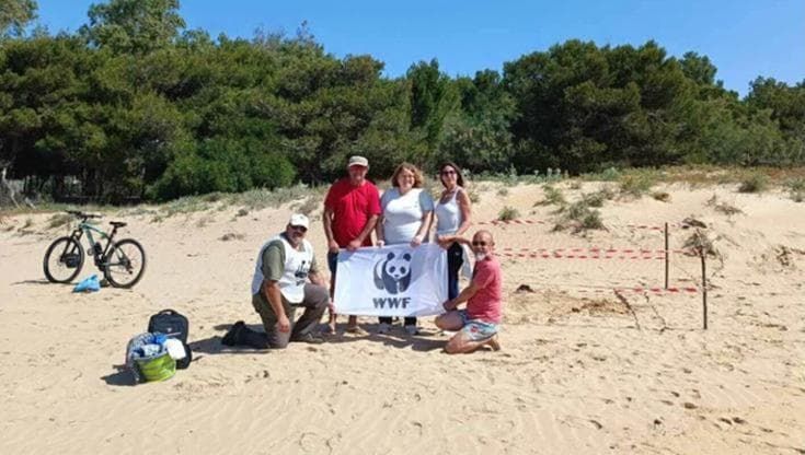 In Sicilia il Wwf raggiunge i 200 nidi censiti di tartaruga marina
