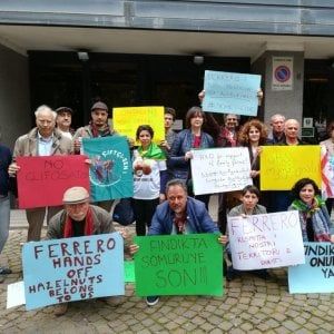 Roma, la battaglia della nocciola approda nella capitale: "No alla produzione intensiva" 
