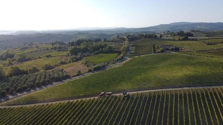 Toscana, così le aziende agricole si salvano col secondo lavoro