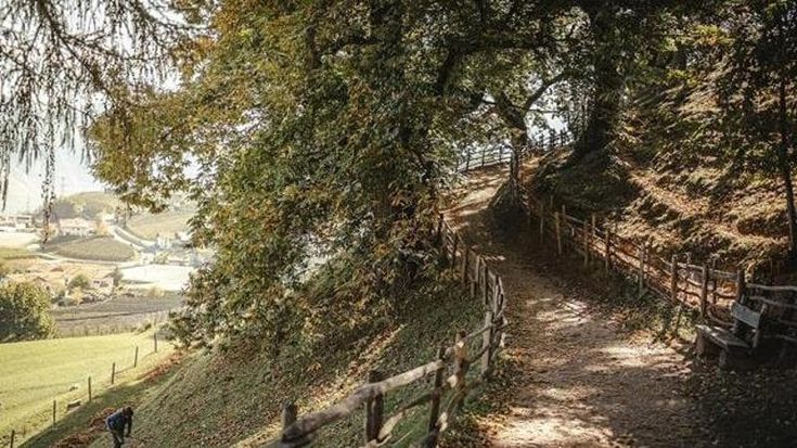 Dalle Alpi alla Sicilia, nella natura a passo lento: dieci sentieri nel bosco per staccare la spina