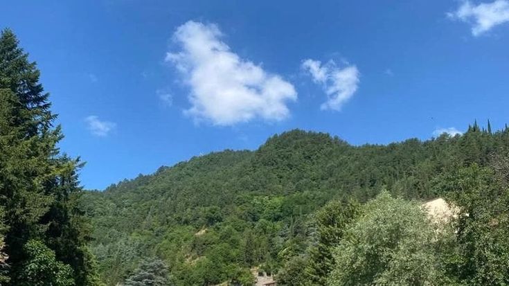 Il ritrovato fascino del bosco i toscani tornano a vivere nei Comuni con le foreste