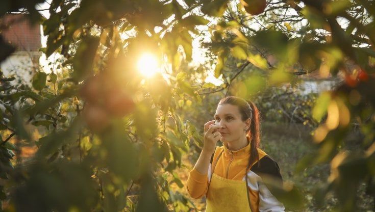 Ortofrutta bio, Italia al terzo posto in Europa con 339mila tonnellate consumate