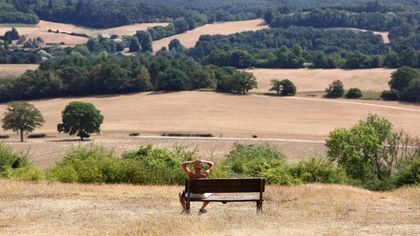 Immagina questo coperto di grano