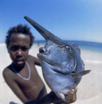L'uomo e il mare: le fotografie di Folco Quilici