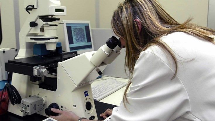 Covid, in Puglia i nuovi casi sono 430 e tre vittime. Nel Barese in un mese calo del 74,6%