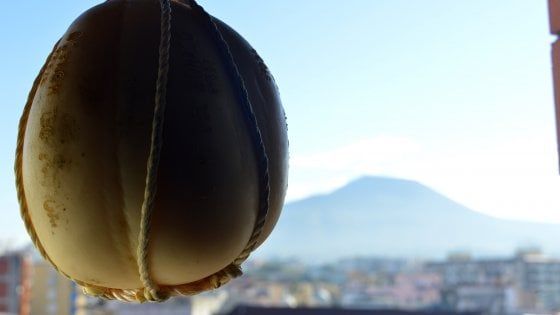 Il Provolone del Monaco Dop chiede un bonus liquidità per i prodotti stagionati   
