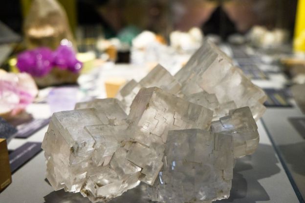 Il fascino delle rocce, ecco la sala "Minerabilia" al Museo Doria