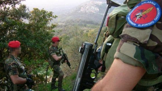 Coltivava marijuana insieme al fratello, arrestato assessore nel Messinese